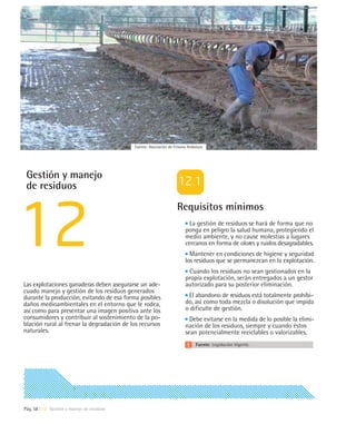 Fuente: Asociación de Frisona Andaluza




 Gestión y manejo
 de residuos
                                                                   Requisitos mínimos
                                                                          La gestión de residuos se hará de forma que no
                                                                        ponga en peligro la salud humana, protegiendo el
                                                                        medio ambiente, y no cause molestias a lugares
                                                                        cercanos en forma de olores y ruidos desagradables.
                                                                          Mantener en condiciones de higiene y seguridad
                                                                        los residuos que se permanezcan en la explotación.
                                                                         Cuando los residuos no sean gestionados en la
                                                                        propia explotación, serán entregados a un gestor
Las explotaciones ganaderas deben asegurarse un ade-                    autorizado para su posterior eliminación.
cuado manejo y gestión de los residuos generados
durante la producción, evitando de esa forma posibles                    El abandono de residuos está totalmente prohibi-
daños medioambientales en el entorno que le rodea,                      do, así como toda mezcla o disolución que impida
así como para presentar una imagen positiva ante los                    o dificulte de gestión.
consumidores y contribuir al sostenimiento de la po-                      Debe evitarse en la medida de lo posible la elimi-
blación rural al frenar la degradación de los recursos                  nación de los residuos, siempre y cuando éstos
naturales.                                                              sean potencialmente reciclables o valorizables.
                                                                              Fuente: Legislación Vigente.




Pág. 58 | 12 Gestión y manejo de residuos
 