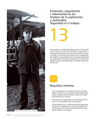 Formación, capacitación
                                                                         e información de los
                                                                         titulares de la explotación
                                                                         y asalariados.
                                                                         Seguridad en el trabajo.




                                                                         El personal de la explotación además de ser competente
                                                                         en su trabajo y de tener la formación y experiencia
                                                                         adecuada para llevar a cabo sus tareas, debe conocer
                                                                         y cumplir con las normas de higiene de la explotación.
                                                                         Esto supone una ventaja ya que se consiguen optimizar
                                                                         los rendimientos técnicos y económicos al reducir los
                                                                         posibles errores ocasionados por un manejo incorrecto
                                                                         del ganado.




                                                                         Requisitos mínimos
                                                                             Los trabajadores en contacto con los animales
                                                                           deben encontrarse en buen estado de salud, estar
                                                                           sanos, aseados y debe utilizar la ropa de trabajo
                                                                           adecuada para su puesto.
                                                                            El número de empleados será el adecuado para
                                                                           cubrir las necesidades de la explotación.
                                                                             El propietario de la explotación debe asegurarse
                                                                           de que los trabajadores y sus representantes son
                                                                           informados acerca de las señalizaciones de segu-
                Fuente: GDR Litoral de la Janda – Innogan                  ridad y salud en el trabajo.

Pág. 60 | 13 Formación, capacitación e información de los titulares de
             la explotación y asalariados. Seguridad en el trabajo.
 