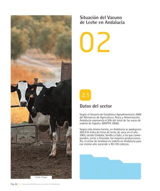 Situación del Vacuno
                                                          de Leche en Andalucía




                                                          Datos del sector
                                                          Según el Anuario de Estadística Agroalimentaria 2006
                                                          del Ministerio de Agricultura, Pesca y Alimentación,
                                                          Andalucía representa el 8% del total de las vacas de
                                                          ordeño de España. (MAPYA 2006)

                                                          Según esta misma fuente, en Andalucía se produjeron
                                                          482.910 miles de litros de leche de vaca en el año
                                                          2005, siendo Córdoba, Sevilla y Cádiz, a las que corres-
                                                          ponden, junto a Granada, las mayores producciones.
                                                          Así, el censo de hembras en ordeño en Andalucía para
                                                          ese mismo año asciende a 90.120 cabezas.




                           Fuente: Citagro


Pág. 08 | 02 Situación del Vacuno de Leche en Andalucía
 