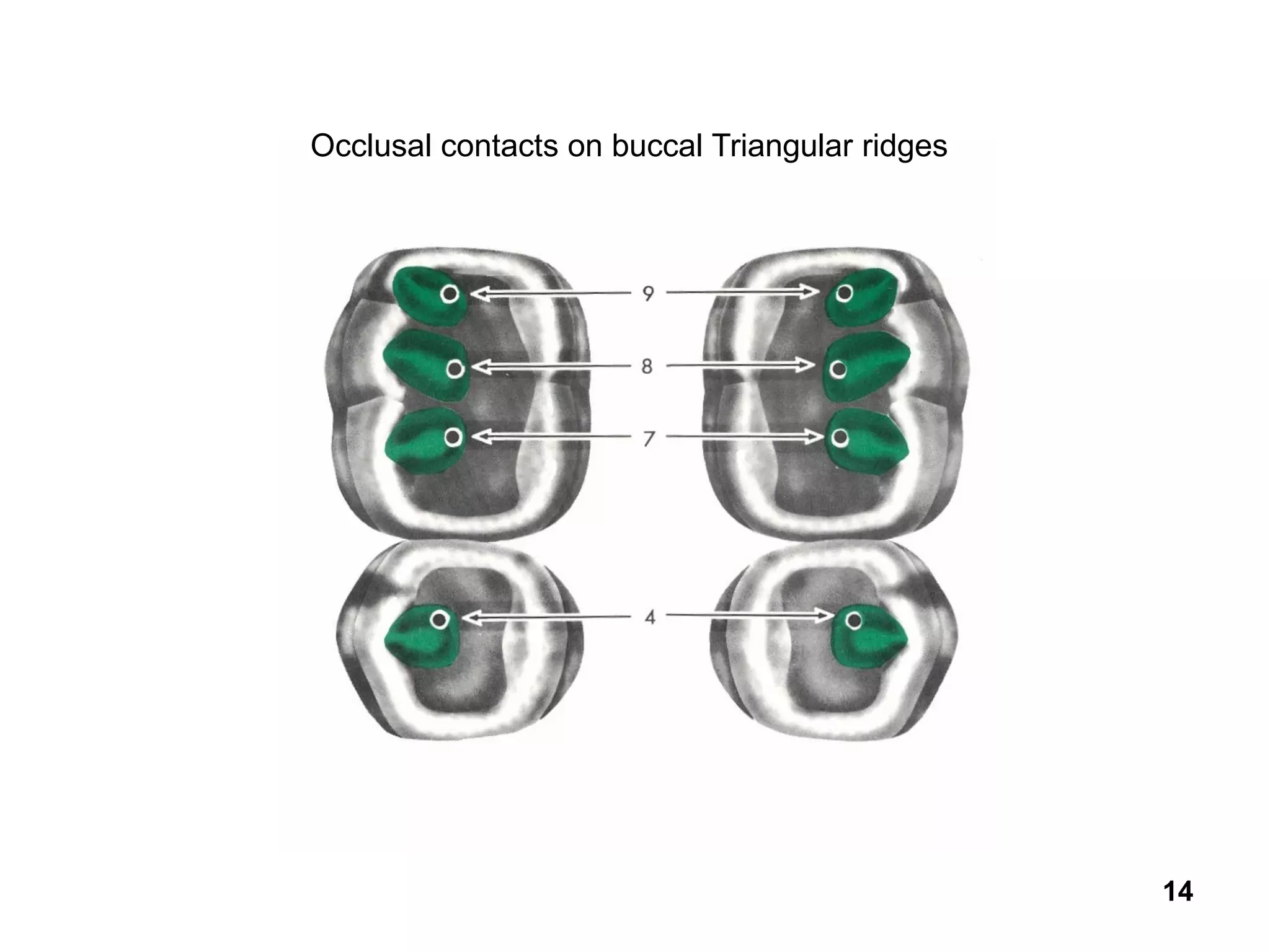 C&b+pk thomas+technique+ver2 | PDF