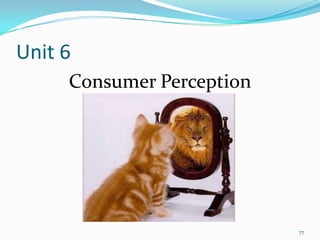 Unit 6
     Consumer Perception




                           77
 