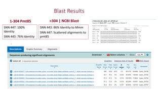 Identification of virulence factors of contagious bovine pleuropneumonia causing bovine epithelial cell death by whole genome mutagenesis