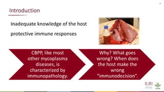 Identification of virulence factors of contagious bovine pleuropneumonia causing bovine epithelial cell death by whole genome mutagenesis