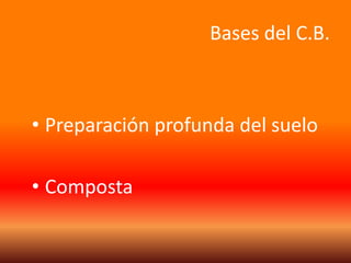 Bases del C.B. 
• Preparación profunda del suelo 
• Composta 
 