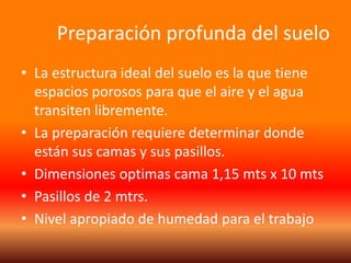 Preparación profunda del suelo 
• La estructura ideal del suelo es la que tiene 
espacios porosos para que el aire y el agua 
transiten libremente. 
• La preparación requiere determinar donde 
están sus camas y sus pasillos. 
• Dimensiones optimas cama 1,15 mts x 10 mts 
• Pasillos de 2 mtrs. 
• Nivel apropiado de humedad para el trabajo 
 