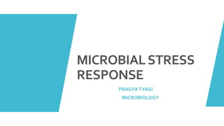 MICROBIALSTRESS
RESPONSE
PRAGYA TYAGI
MICROBIOLOGY
 