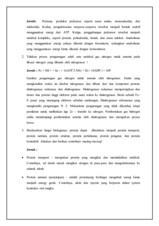 Jawab: Pertama, produksi prekursor seperti asam amino, monosakarida, dan
nukleotida. Kedua, pengaktivasian senyawa-senyawa tersebut menjadi bentuk reaktif
menggunakan energi dari ATP. Ketiga, penggabungan prekursor tersebut menjadi
molekul kompleks, seperti protein, polisakarida, lemak, dan asam nukleat. Anabolisme
yang menggunakan energi cahaya dikenal dengan fotosintesis, sedangkan anabolisme
yang menggunakan energi kimia dikenal dengan kemosintesis.
2. Tuliskan proses pengurangan salah satu molekul gas nitrogen untuk amonia pada
fiksasi nitrogen yang dibantu oleh nitrogenase !
Jawab : N2 + 8H + + 8e - + 16ATP 2 NH3 + H2+ 16ADP i + 16P
Gambar pengurangan gas nitrogen untuk amonia oleh nitrogenase. Enzim yang
mengkatalisis reaksi ini disebut nitrogenase dan dibuat dari dua komponen protein,
dinitrogenase reductase dan dinitrogenase. Dinitrogenase reductase mempersiapkan dan
donor dua potensi tinggi elektron pada suatu waktu ke dinitrogenase. Berisi sebuah Fe-
S pusat yang memegang elektron sebelum sumbangan. Dinitrogenase sebenarnya yang
mengkatalisi pengurangan N 2. Mekanisme pengurangan yang tidak diketahui, tetapi
pemikiran untuk melibatkan tiga 2e - transfer ke nitrogen. Pembentukan gas hidrogen
selalu mendampingi pembentukan amonia oleh dinitrogenase dan merupakan proses
boros.
3. Berdasarkan fungsi biologisnya, protein dapat dibedakan menjadi protein transport,
protein natrium, protein struktur, protein pertahanan, protein pengatur, dan protein
kontraktil. Jelaskan dan berikan contohnya masing-masing!
Jawab :
 Protein transport : merupakan protein yang mengikat dan memindahkan molekul.
Contohnya, sel darah merah mengikat oksigen di paru-paru dan mengedarkannya ke
seluruh tubuh.
 Protein natrium (penyimpan) : adalah proteinyang berfungsi mengubah energi kimia
menjadi energy gerak. Contohnya, aktin dan myosin yang berperan dalam system
kontraksi otot rangka.
 