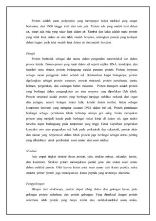 Protein adalah suatu polipeptida yang mempunyai bobot molekul yang sangat
bervariasi, dari 5000 hingga lebih dari satu juta. Protein ada yang mudah larut dalam
air, tetapi ada pula yang sukar larut dalam air. Rambut dan kuku adalah suatu protein
yang tidak larut dalam air dan tidak mudah bereaksi, sedangkan protein yang terdapat
dalam bagian putih telur mudah larut dalam air dan mudah bereaksi.
Fungsi
Protein bertindak sebagai alat utama dalam pengenalan antarmolekul dan dalam
proses katalis. Proses-proses yang rumit dalam sel seperti replika DNA, transkripsi, dan
translasi serta sintesis protein berlangsung melalui peranan protein. Protein berperan
sebagai mesin penggerak dalam sebuah sel. Berdasarkan fungsi biologisnya, protein
digolongkan sebagai protein transport, protein structural, protein pertahanan, enzim,
hormon, pergerakan, dan cadangan bahan makanan. Protein transport adalah protein
yang berfungsi dalam pengangkutan zat atau senyawa yang diperlukan oleh tubuh.
Protein structural adalah protein yang berfungsi menjaga stabilitas mekanik dari organ
dan jaringan, seperti kolagen dalam kulit, keratin dalam rambut, histon sebagai
komponen kromatin yang mengatur susunan DNA dalam inti sel,. Protein pertahanan
berfungsi sebagai pertahanan tubuh terhadap adanya gen asing. Enzim merupakan
protein yang menjadi katalis pada berbagai reaksi kimia di dalam sel, agar reaksi
tersebut dapat berlangsung pada temperatur yang tinggi. Untuk keperluan pergerakan
kontraksi otot atau pergerakan sel, baik pada prokariotik dan eukariotik, protein aktin
dan miosin yang berperan.di dalam tubuh protein juga berfungsi sebagai nutrisi penting
yang dibutuhkan untuk pembentuk asam amino atau asam nukleat.
Struktur
Ada empat tingkat struktur dasar protein, yaitu struktur primer, sekunder, tersier,
dan kuarterner. Struktur primer menunjukkan jumlah jenis dan urutan asam amino
dalam molekul protein. Oleh karena ikatan antar asam amino ialah ikatan peptida, maka
struktur primer protein juga menunjukkan ikatan peptida yang urutannya diketahui.
Penggolongan
Ditinjau dari strukturnya, protein dapat dibagi dalam dua golongan besar, yaitu
golongan protein sederhana dan protein gabungan. Yang dimaksud dengan protein
sederhana ialah protein yang hanya terdiri atas molekul-molekul asam amino,
 