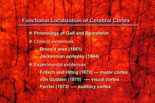  Phrenology of Gall and Spurzheim
 Clinical evidences
Broca’s area (1861)
Jacksonian epilepsy (1864)
 Experimental evidences
Fritsch and Hitzig (1870) --- motor cortex
von Gudden (1870) ---- visual cortex
Ferrier (1873) ---- auditory cortex
Functional Localization of Cerebral Cortex
 
