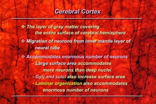  The layer of gray matter covering
the entire surface of cerebral hemisphere
 Migration of neurons from inner mantle layer of
neural tube
 Accommodates enormous number of neurons
- Large surface area accommodates
more neurons than deep nuclei
- Gyri and sulci also increase surface area
- Laminar organization also accommodates
enormous number of neurons
Cerebral Cortex
 