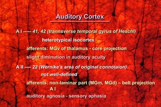 A I ----- 41, 42 (trannsverse temporal gyrus of Heschl)
heterotypical isocortex
afferents: MGv of thalamus - core projection
slight diminution in auditory acuity
A II ---- 22 (Wernike's area of original connotaion)
not well-defined
afferents: non-laminar part (MGm, MGd) – belt projection
A I
auditory agnosia - sensory aphasia
Auditory Cortex
 