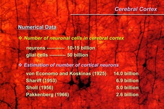 Numerical Data
 Number of neuronal cells in cerebral cortex
neurons ----------- 10-15 billion
glial cells ---------- 50 billion
 Estimation of number of cortical neurons
von Economo and Koskinas (1925) 14.0 billion
Shariff (1953) 6.9 billion
Sholl (1956) 5.0 billion
Pakkenberg (1966) 2.6 billion
Cerebral Cortex
 
