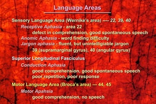 Sensory Language Area (Wernike's area) ---- 22, 39, 40
Receptive Aphasia - area 22
defect in comprehension, good spontaneous speech
Anomic Aphasia - word finding difficulty
Jargon aphasia - fluent, but unintelligiable jargon
39 (supramarginal gyrus), 40 (angular gyrus)
Superior Longitudinal Fasciculus
Conduction Aphasia
good comprehension, good spontaneous speech
poor repetition, poor response
Motor Language Area (Broca’s area) --- 44, 45
Motor Apahsia
good comprehension, no speech
Language Areas
 