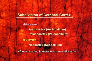 Subdivision of Cerebral Cortex
Allocortex
Archicortex (Archipallium)
Palaeocortex (Paleopallium)
Isocortex
Neocortex (Neopallium)
cf. mesocortex, juxtallocortex, mesallocortex
 