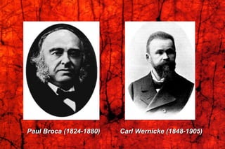 Paul Broca (1824-1880) Carl Wernicke (1848-1905)
 