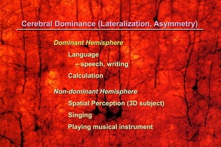 Cerebral Dominance (Lateralization, Asymmetry)
Dominant Hemisphere
Language
– speech, writing
Calculation
Non-dominant Hemisphere
Spatial Perception (3D subject)
Singing
Playing musical instrument
 