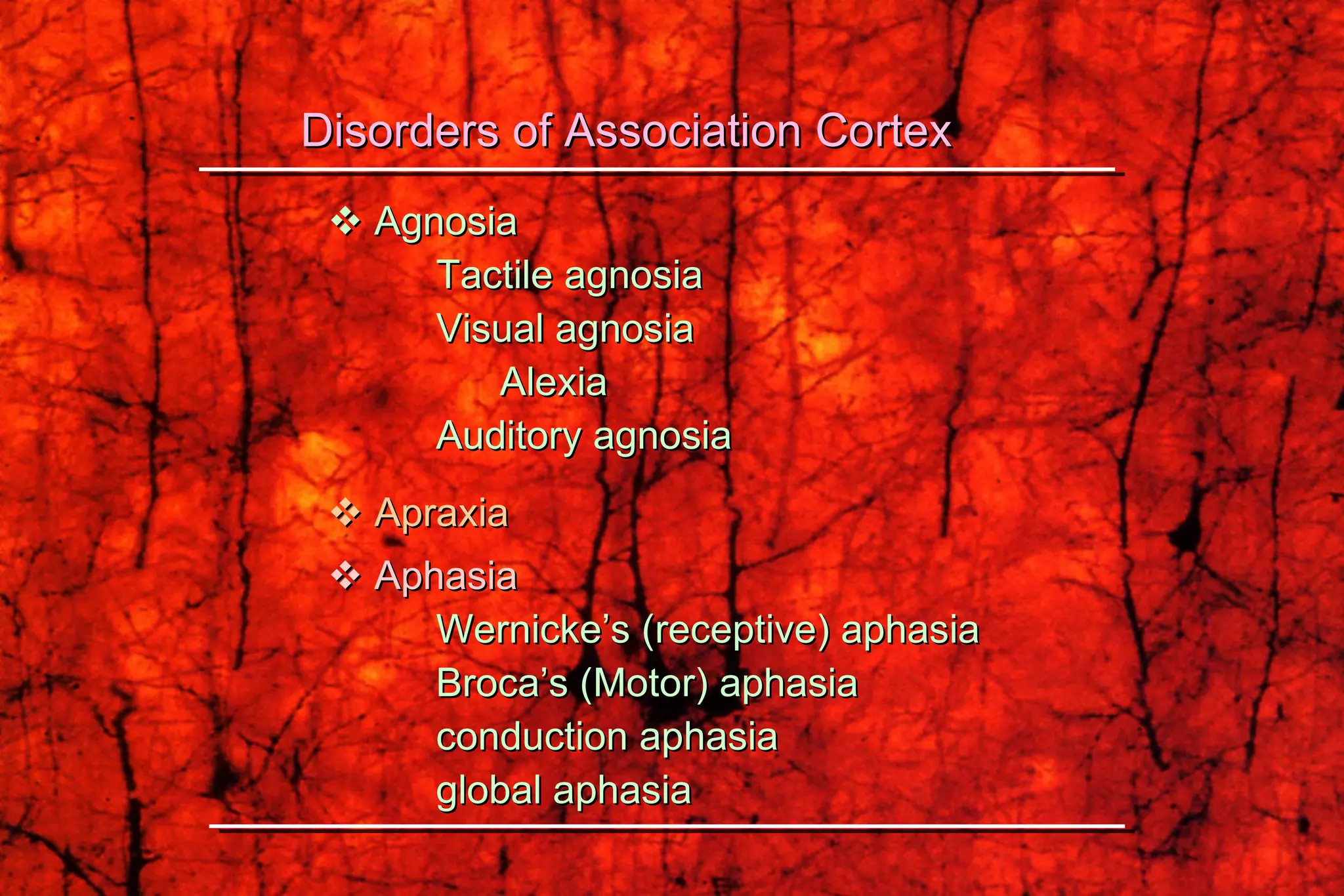    Agnosia   Tactile agnosia   Visual agnosia Alexia   Auditory agnosia    Apraxia    Aphasia   Wernicke’s (receptive) aphasia   Broca’s (Motor) aphasia   conduction aphasia   global aphasia Disorders of Association Cortex 