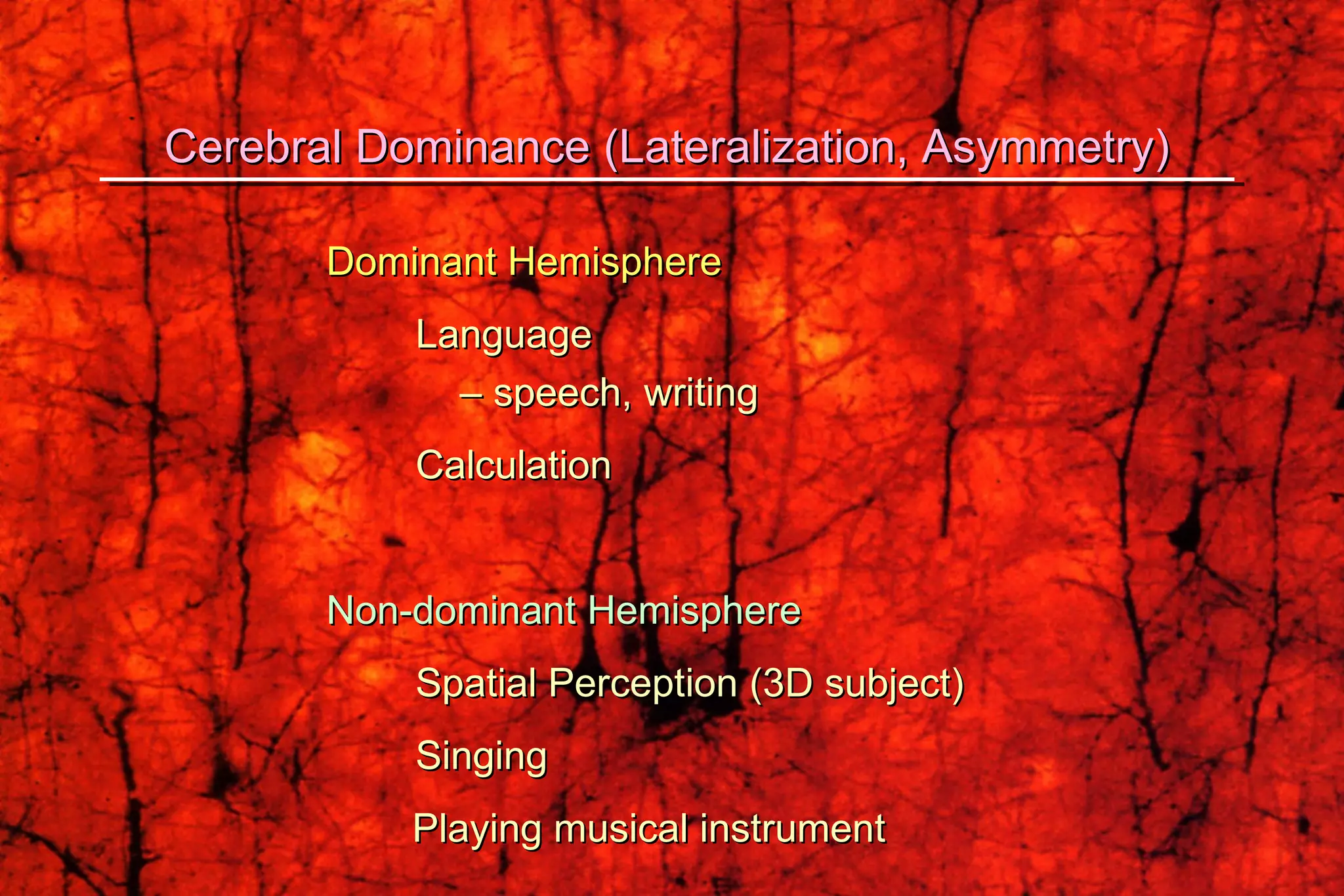 Cerebral Dominance (Lateralization, Asymmetry) Dominant Hemisphere Language –  speech, writing Calculation Non-dominant Hemisphere Spatial Perception (3D subject) Singing   Playing musical instrument   