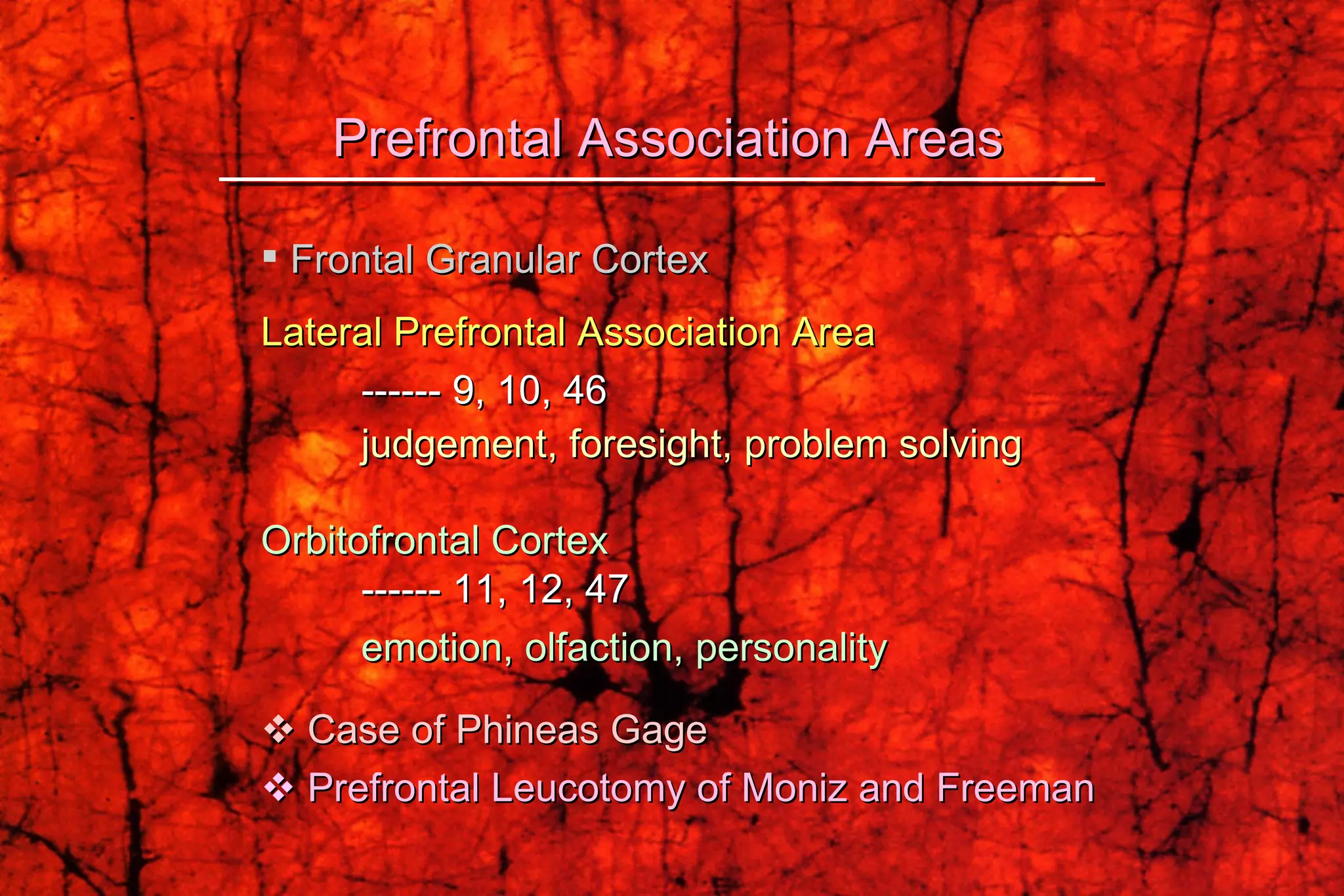 Frontal Granular Cortex Lateral Prefrontal Association Area   ------ 9, 10, 46 judgement, foresight, problem solving Orbitofrontal Cortex ------ 11, 12, 47  emotion, olfaction, personality    Case of Phineas Gage      Prefrontal Leucotomy of Moniz and Freeman Prefrontal Association Areas 