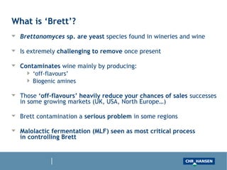 What is ‘Brett’?
Brettanomyces sp. are yeast species found in wineries and wine
Is extremely challenging to remove once present
Contaminates wine mainly by producing:
‘off-flavours’
Biogenic amines
Those ‘off-flavours’ heavily reduce your chances of sales successes
in some growing markets (UK, USA, North Europe…)
Brett contamination a serious problem in some regions
Malolactic fermentation (MLF) seen as most critical process
in controlling Brett
 