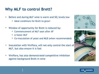 Why MLF to control Brett?
Before and during MLF wine is warm and SO2 levels low
Ideal conditions for Brett to grow!
Window of opportunity for Brett is reduced by:
Commencement of MLF soon after AF
A faster MLF
Co-inoculation of yeast and MLB (when recommended)
Inoculation with Viniflora® will not only control the start of
MLF, but also ensure it is fast
Viniflora® has also demonstrated competitive inhibition
against background Brett in wine
 