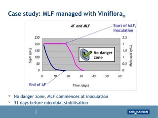 AF and MLF
0
50
100
150
200
250
0 10 20 30 40 50 60
Time (days)
Sugar(g/L)
0
0.5
1
1.5
2
2.5
Malicacid(g/L)
Case study: MLF managed with Viniflora®
No danger zone, MLF commences at inoculation
31 days before microbial stabilisation
End of AF
Start of MLF,
Inoculation
No danger
zone
 