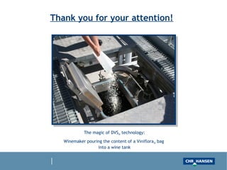 Thank you for your attention!
The magic of DVS® technology:
Winemaker pouring the content of a Viniflora® bag of malolactic
cultures ready for real direct inoculation
into a wine tank
 