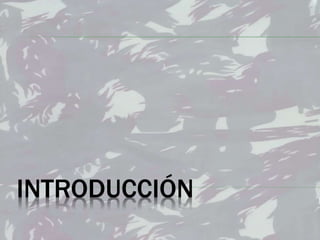 INTRODUCCIÓN
 