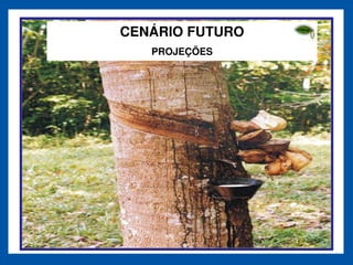 CENÁRIO FUTURO
   PROJEÇÕES
 