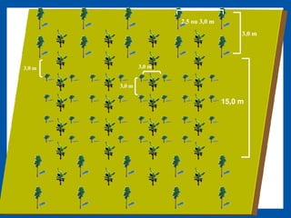 2,5 ou 3,0 m
                                            3,0 m




3,0 m           3,0 m


        3,0 m

                                       15,0 m
 