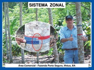 SISTEMA ZONAL




Área Comercial - Fazenda Porto Seguro, Ilhéus, BA
 