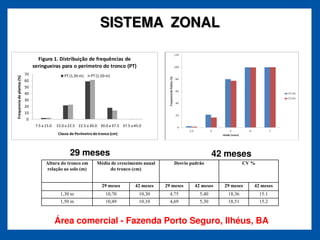 SISTEMA ZONAL

                                   Figura 1. Distribuição de frequências de
                                 seringueiras para o perímetro do tronco (PT)
                            70                     PT (1,30 m)    PT (1,50 m)
Frequencia de plantas (%)




                            60
                            50
                            40
                            30
                            20
                            10
                            0
                                  7.5 a 15.0   15.0 a 22.5 22.5 a 30.0 30.0 a 37.5 37.5 a 45.0
                                               Classe de Perímetro do tronco (cm)



                                                      29 meses                                                            42 meses
                                        Altura do tronco em          Média de crescimento anual         Desvio padrão                CV %
                                        relação ao solo (m)               do tronco (cm)


                                                                        29 meses          42 meses   29 meses   42 meses    29 meses    42 meses
                                                 1,30 m                   10,70             10,30      4,75        5,40      18,36          15.1
                                                 1,50 m                   10,49             10,10      4,69        5,30      18,51          15.2



                                               Área comercial - Fazenda Porto Seguro, Ilhéus, BA
 