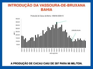 INTRODUÇÃO DA VASSOURA-DE-BRUXANA
               BAHIA
                                                           Producão de Cacau da Bahia, 1958/59-2009/10
          450,00

          400,00

          350,00

          300,00
                                                                                                                                                                                                                             1999/00=96,04
          250,00
  mil t




          200,00

          150,00

          100,00

           50,00

              -
                   1958/59

                             1960/61

                                       1962/63

                                                 1964/65

                                                           1966/67

                                                                     1968/69

                                                                               1970/71

                                                                                         1972/73

                                                                                                   1974/75

                                                                                                             1976/77

                                                                                                                       1978/79

                                                                                                                                 1980/81

                                                                                                                                           1982/83

                                                                                                                                                     1984/85

                                                                                                                                                               1986/87

                                                                                                                                                                         1988/89

                                                                                                                                                                                   1990/91

                                                                                                                                                                                             1992/93

                                                                                                                                                                                                       1994/95

                                                                                                                                                                                                                 1996/97

                                                                                                                                                                                                                           1998/99

                                                                                                                                                                                                                                     2000/01

                                                                                                                                                                                                                                               2002/03

                                                                                                                                                                                                                                                         2004/05

                                                                                                                                                                                                                                                                   2006/07

                                                                                                                                                                                                                                                                             2008/09
                                                                                                                                       safra agrícola




 A PRODUÇÃO DE CACAU CAIU DE 397 PARA 96 MIL/TON.
 