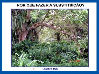 POR QUE FAZER A SUBSTITUIÇÃO?




          Quebra fácil
 