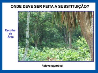 ONDE DEVE SER FEITA A SUBSTITUIÇÃO?




Escolha
  da
 Área




                Relevo favorável
 