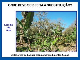 ONDE DEVE SER FEITA A SUBSTITUIÇÃO?




Escolha
  da
 Área




     Evitar áreas de baixada e/ou com impedimentos físicos
 