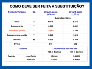 COMO DEVE SER FEITA A SUBSTITUIÇÃO?
 Fonte de Variação            GL     Circunf. caule                Circunf. caule
                                        (0,50 m)                      (1,50 m)
                                                   Quadrados médios

        Bloco                  2         11.816                         6.674

    Espaçamento                7         0.882                          0.642

  Sentido do plantio           1        15.882*                         3.799

Espaçamento x sentido          7         2.052                          1.018

      Resíduo                  19        0.805                          0.593

       CV (%)                  -          8.73                          8.72

             Variáveis                           Circunferência do Caule (cm)
                                        0,50 m de altura            1,50 m de altura

 Sentido               Leste/Oeste          10.8548                     9.09328
                        Norte/Sul           9.2335                      8.40462
 