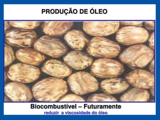 PRODUÇÃO DE ÓLEO




Biocombustível        Futuramente
    reduzir a viscosidade do óleo
 
