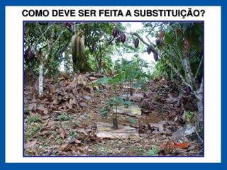 COMO DEVE SER FEITA A SUBSTITUIÇÃO?
 