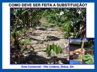 COMO DEVE SER FEITA A SUBSTITUIÇÃO?




     Área Comercial - Vila Lindens, Ilhéus, BA
 