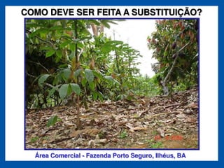 COMO DEVE SER FEITA A SUBSTITUIÇÃO?




  Área Comercial - Fazenda Porto Seguro, Ilhéus, BA
 