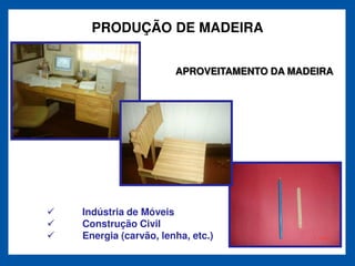 PRODUÇÃO DE MADEIRA


                    APROVEITAMENTO DA MADEIRA




Indústria de Móveis
Construção Civil
Energia (carvão, lenha, etc.)
 