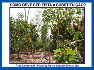 COMO DEVE SER FEITA A SUBSTITUIÇÃO?




  Área Comercial - Fazenda Porto Seguro, Ilhéus, BA
 