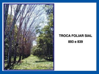 TROCA FOLIAR SIAL
    893 e 839
 
