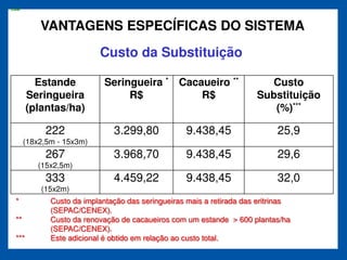 *   cust



               VANTAGENS ESPECÍFICAS DO SISTEMA
                               Custo da Substituição

              Estande            Seringueira * Cacaueiro **                   Custo
            Seringueira               R$           R$                      Substituição
            (plantas/ha)                                                      (%)***

                222                3.299,80            9.438,45                  25,9
           (18x2,5m - 15x3m)
                267                3.968,70            9.438,45                  29,6
              (15x2,5m)
                333                4.459,22            9.438,45                  32,0
               (15x2m)
      *           Custo da implantação das seringueiras mais a retirada das eritrinas
                  (SEPAC/CENEX).
      **          Custo da renovação de cacaueiros com um estande > 600 plantas/ha
                  (SEPAC/CENEX).
      ***         Este adicional é obtido em relação ao custo total.
 