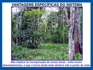 VANTAGENS ESPECÍFICAS DO SISTEMA




     Não implica na incorporação de novas áreas - evita novos
desmatamentos, o que o torna ainda mais atrativo sob o ponto de vista
                       ecológico/ambiental.
 
