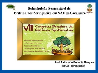 Substituição Sustentável de
Eritrina por Seringueira em SAF de Cacaueiro




                        José Raimundo Bonadie Marques
                             CEPLAC / CEPEC/ SEGEN
 