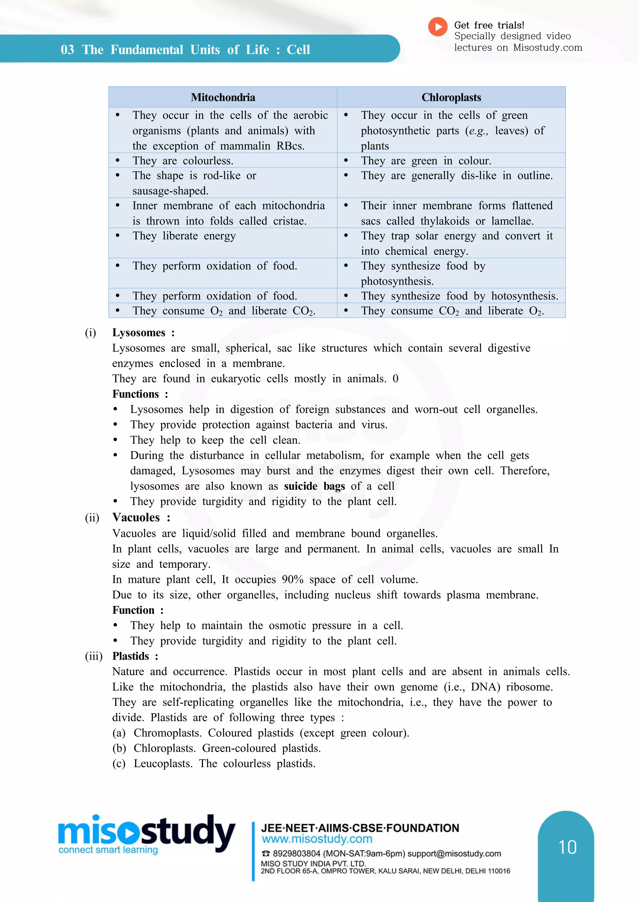 03 The Fundamental Units of Life : Cell
Get free trials!
Specially designed video
lectures on Misostudy.com
10
Mitochondria Chloroplasts
Ÿ They occur in the cells of the aerobic
organisms (plants and animals) with
the exception of mammalin RBcs.
Ÿ They occur in the cells of green
photosynthetic parts (e.g., leaves) of
plants
Ÿ They are colourless. Ÿ They are green in colour.
Ÿ The shape is rod-like or
sausage-shaped.
Ÿ They are generally dis-like in outline.
Ÿ Inner membrane of each mitochondria
is thrown into folds called cristae.
Ÿ Their inner membrane forms flattened
sacs called thylakoids or lamellae.
Ÿ They liberate energy Ÿ They trap solar energy and convert it
into chemical energy.
Ÿ They perform oxidation of food. Ÿ They synthesize food by
photosynthesis.
Ÿ They perform oxidation of food. Ÿ They synthesize food by hotosynthesis.
Ÿ They consume O2 and liberate CO2. Ÿ They consume CO2 and liberate O2.
(i) Lysosomes :
Lysosomes are small, spherical, sac like structures which contain several digestive
enzymes enclosed in a membrane.
They are found in eukaryotic cells mostly in animals. 0
Functions :
Ÿ Lysosomes help in digestion of foreign substances and worn-out cell organelles.
Ÿ They provide protection against bacteria and virus.
Ÿ They help to keep the cell clean.
Ÿ During the disturbance in cellular metabolism, for example when the cell gets
damaged, Lysosomes may burst and the enzymes digest their own cell. Therefore,
lysosomes are also known as suicide bags of a cell
Ÿ They provide turgidity and rigidity to the plant cell.
(ii) Vacuoles :
Vacuoles are liquid/solid filled and membrane bound organelles.
In plant cells, vacuoles are large and permanent. In animal cells, vacuoles are small In
size and temporary.
In mature plant cell, It occupies 90% space of cell volume.
Due to its size, other organelles, including nucleus shift towards plasma membrane.
Function :
Ÿ They help to maintain the osmotic pressure in a cell.
Ÿ They provide turgidity and rigidity to the plant cell.
(iii) Plastids :
Nature and occurrence. Plastids occur in most plant cells and are absent in animals cells.
Like the mitochondria, the plastids also have their own genome (i.e., DNA) ribosome.
They are self-replicating organelles like the mitochondria, i.e., they have the power to
divide. Plastids are of following three types :
(a) Chromoplasts. Coloured plastids (except green colour).
(b) Chloroplasts. Green-coloured plastids.
(c) Leucoplasts. The colourless plastids.
 
