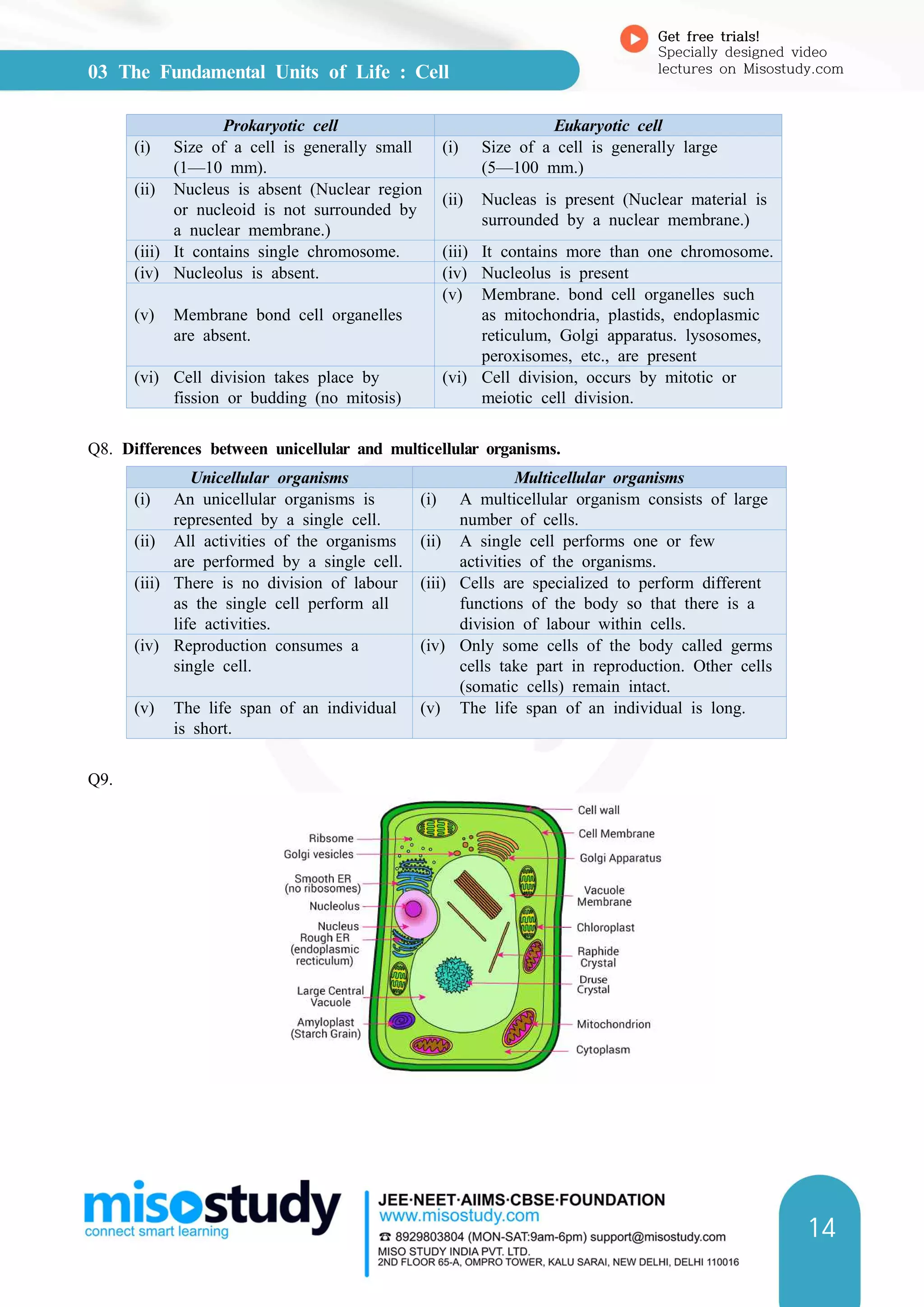 03 The Fundamental Units of Life : Cell
Get free trials!
Specially designed video
lectures on Misostudy.com
14
Prokaryotic cell Eukaryotic cell
(i) Size of a cell is generally small
(1—10 mm).
(i) Size of a cell is generally large
(5—100 mm.)
(ii) Nucleus is absent (Nuclear region
or nucleoid is not surrounded by
a nuclear membrane.)
(ii) Nucleas is present (Nuclear material is
surrounded by a nuclear membrane.)
(iii) It contains single chromosome. (iii) It contains more than one chromosome.
(iv) Nucleolus is absent. (iv) Nucleolus is present
(v) Membrane bond cell organelles
are absent.
(v) Membrane. bond cell organelles such
as mitochondria, plastids, endoplasmic
reticulum, Golgi apparatus. lysosomes,
peroxisomes, etc., are present
(vi) Cell division takes place by
fission or budding (no mitosis)
(vi) Cell division, occurs by mitotic or
meiotic cell division.
Q8. Differences between unicellular and multicellular organisms.
Unicellular organisms Multicellular organisms
(i) An unicellular organisms is
represented by a single cell.
(i) A multicellular organism consists of large
number of cells.
(ii) All activities of the organisms
are performed by a single cell.
(ii) A single cell performs one or few
activities of the organisms.
(iii) There is no division of labour
as the single cell perform all
life activities.
(iii) Cells are specialized to perform different
functions of the body so that there is a
division of labour within cells.
(iv) Reproduction consumes a
single cell.
(iv) Only some cells of the body called germs
cells take part in reproduction. Other cells
(somatic cells) remain intact.
(v) The life span of an individual
is short.
(v) The life span of an individual is long.
Q9.
 