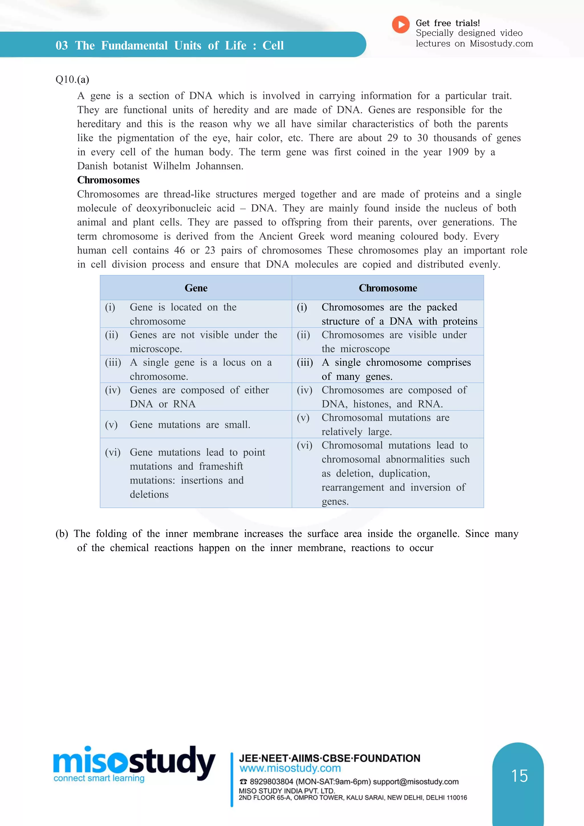 03 The Fundamental Units of Life : Cell
Get free trials!
Specially designed video
lectures on Misostudy.com
15
Q10.(a)
A gene is a section of DNA which is involved in carrying information for a particular trait.
They are functional units of heredity and are made of DNA. Genes are responsible for the
hereditary and this is the reason why we all have similar characteristics of both the parents
like the pigmentation of the eye, hair color, etc. There are about 29 to 30 thousands of genes
in every cell of the human body. The term gene was first coined in the year 1909 by a
Danish botanist Wilhelm Johannsen.
Chromosomes
Chromosomes are thread-like structures merged together and are made of proteins and a single
molecule of deoxyribonucleic acid – DNA. They are mainly found inside the nucleus of both
animal and plant cells. They are passed to offspring from their parents, over generations. The
term chromosome is derived from the Ancient Greek word meaning coloured body. Every
human cell contains 46 or 23 pairs of chromosomes These chromosomes play an important role
in cell division process and ensure that DNA molecules are copied and distributed evenly.
Gene Chromosome
(i) Gene is located on the
chromosome
(i) Chromosomes are the packed
structure of a DNA with proteins
(ii) Genes are not visible under the
microscope.
(ii) Chromosomes are visible under
the microscope
(iii) A single gene is a locus on a
chromosome.
(iii) A single chromosome comprises
of many genes.
(iv) Genes are composed of either
DNA or RNA
(iv) Chromosomes are composed of
DNA, histones, and RNA.
(v) Gene mutations are small.
(v) Chromosomal mutations are
relatively large.
(vi) Gene mutations lead to point
mutations and frameshift
mutations: insertions and
deletions
(vi) Chromosomal mutations lead to
chromosomal abnormalities such
as deletion, duplication,
rearrangement and inversion of
genes.
(b) The folding of the inner membrane increases the surface area inside the organelle. Since many
of the chemical reactions happen on the inner membrane, reactions to occur
 